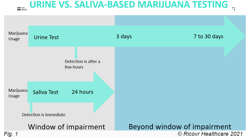 Urine vs Saliva Marijuana Testing